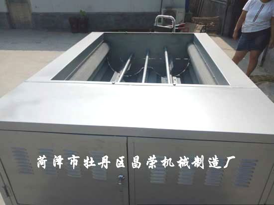 核桃清洗機(jī)